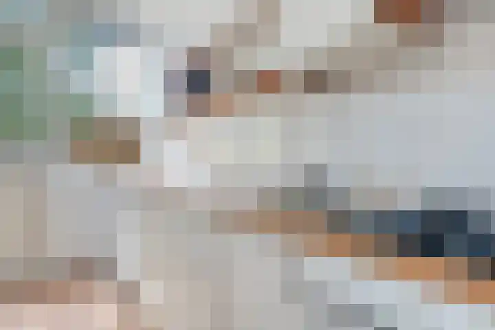 Flamingostraat 31 Losser thumbnail 20