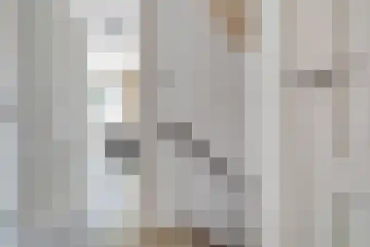 Flamingostraat 31 Losser thumbnail 23