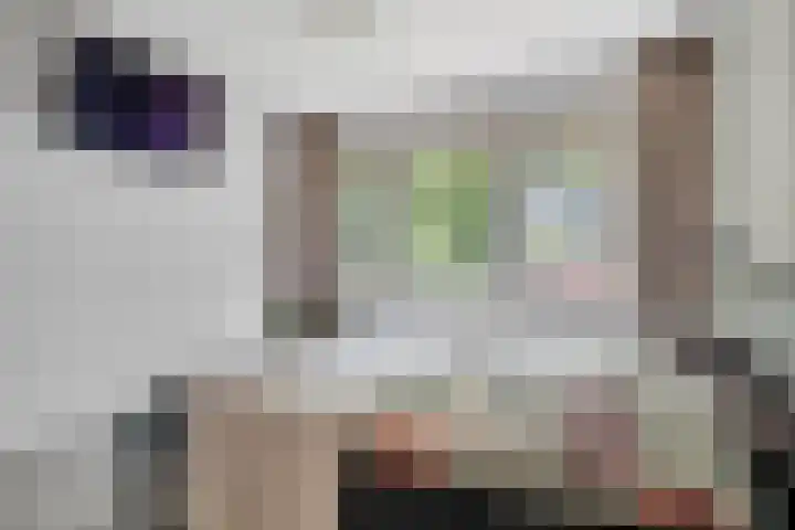 Flamingostraat 31 Losser thumbnail 32