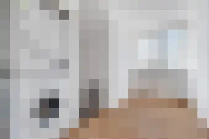 Flamingostraat 31 Losser thumbnail 36