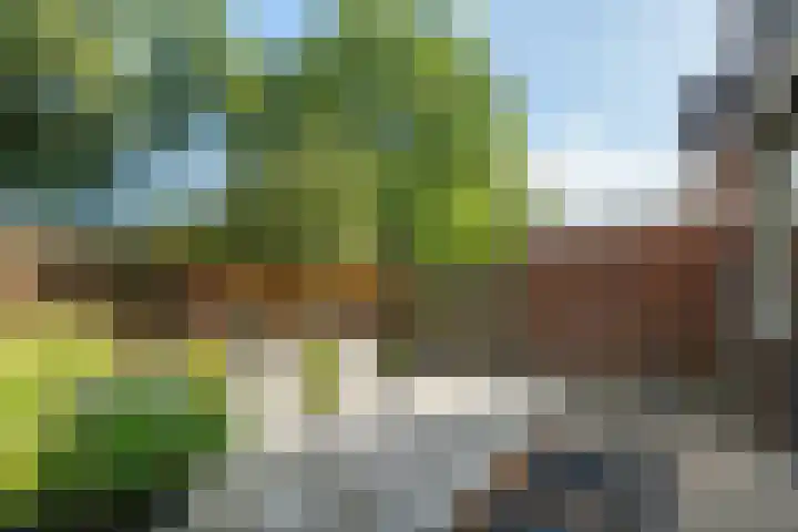 Flamingostraat 31 Losser thumbnail 41