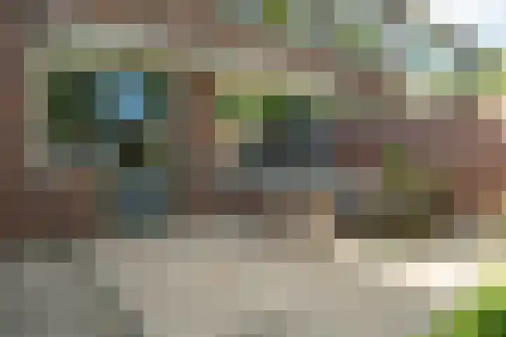 Flamingostraat 31 Losser thumbnail 43
