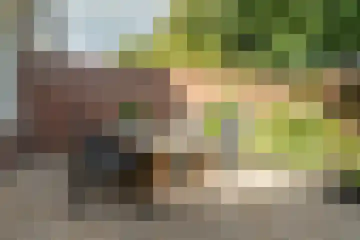 Flamingostraat 31 Losser thumbnail 44