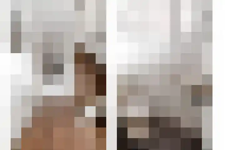Flamingostraat 31 Losser thumbnail 9