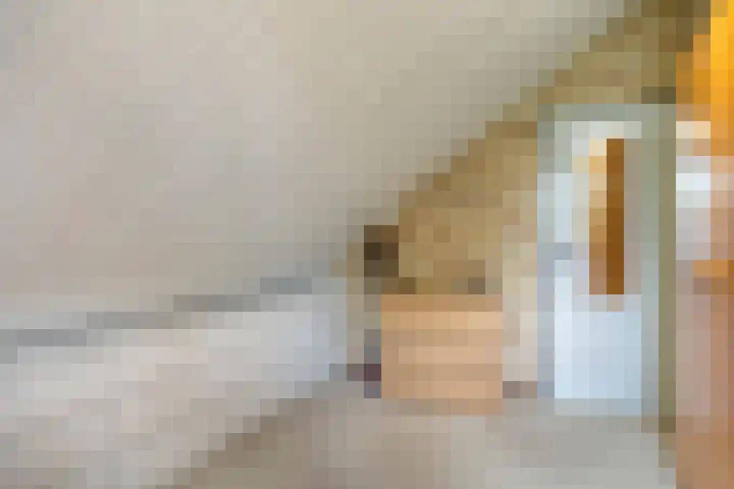 Flamingostraat 5 Heinkenszand thumbnail 32