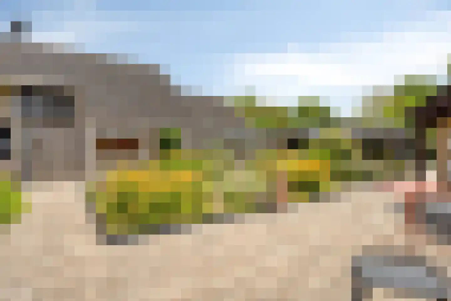 Flamingostraat 5 Heinkenszand thumbnail 35