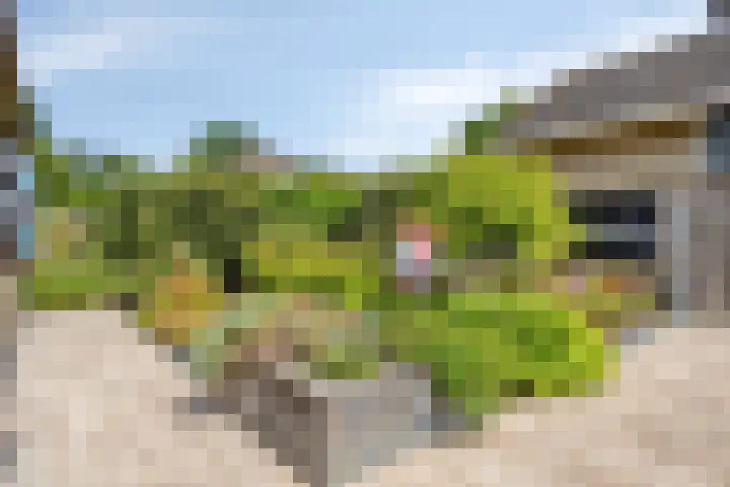 Flamingostraat 5 Heinkenszand thumbnail 36