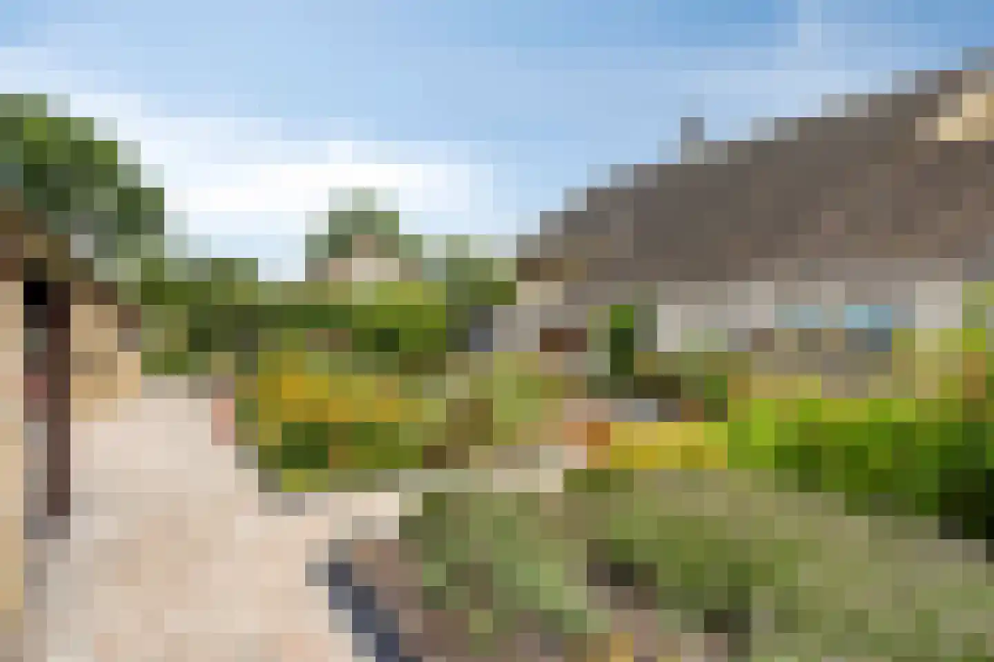 Flamingostraat 5 Heinkenszand thumbnail 39