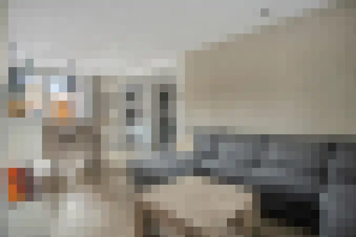 Flamingostraat 5 Wijchen thumbnail 10
