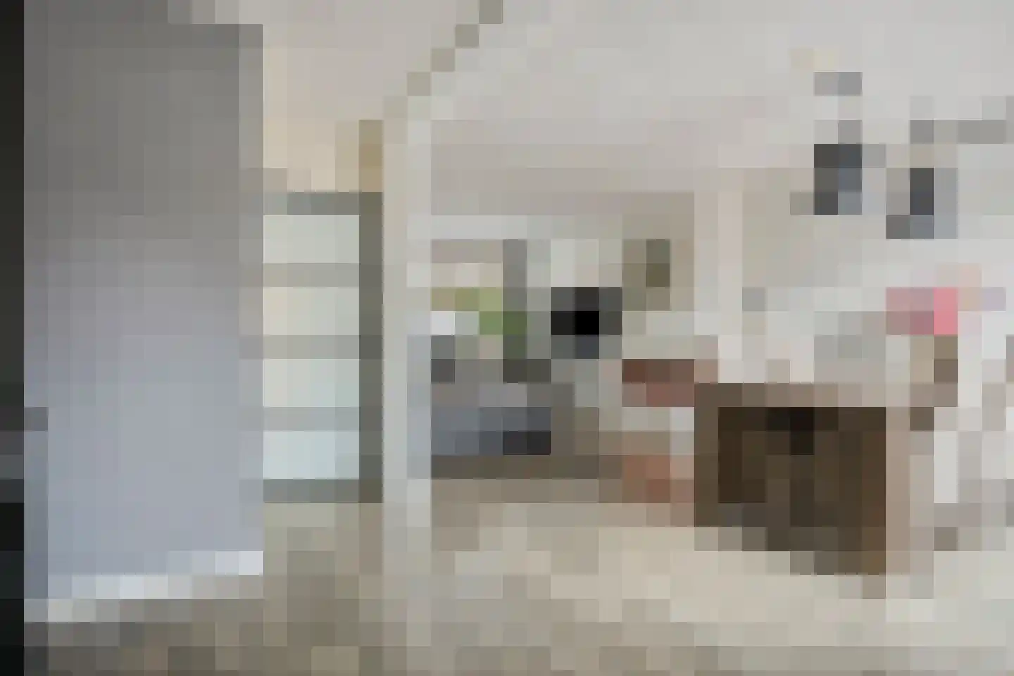Flamingostraat 5 Wijchen thumbnail 13