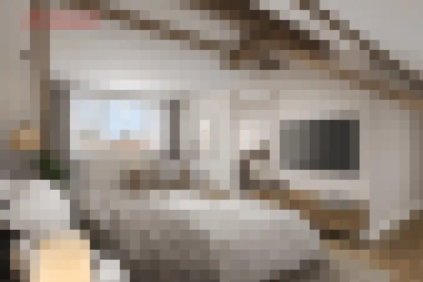 Flamingostraat 5 Wijchen thumbnail 29