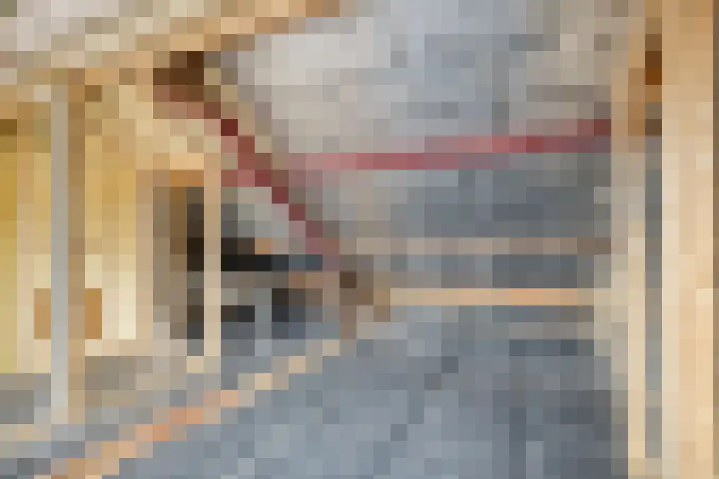 Flamingostraat 5 Wijchen thumbnail 32