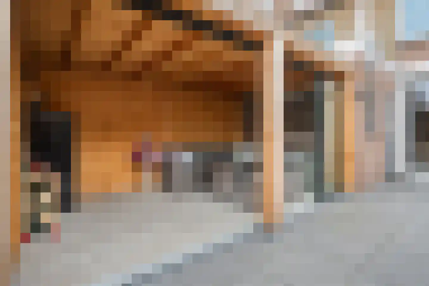 Flamingostraat 5 Wijchen thumbnail 36