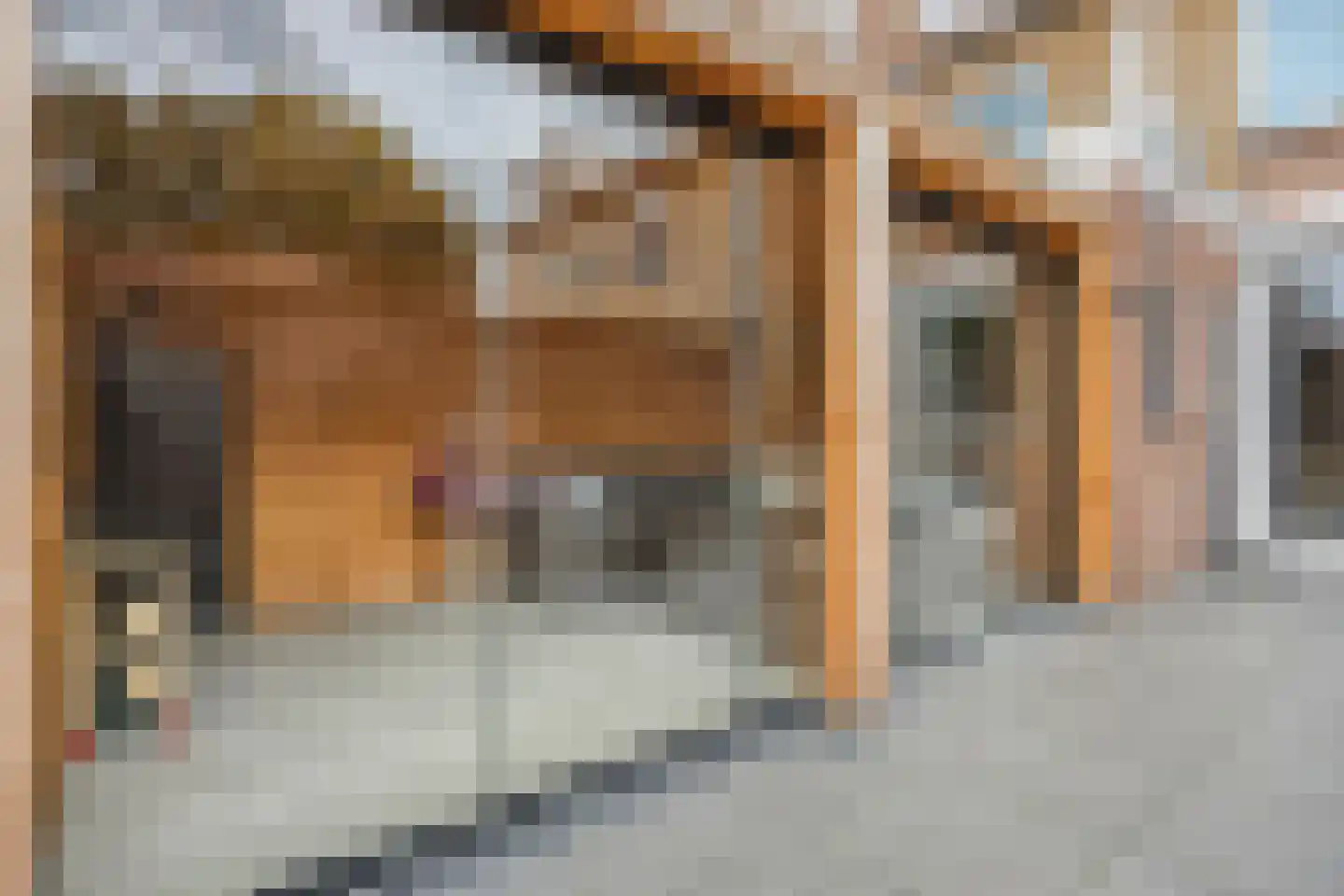 Flamingostraat 5 Wijchen thumbnail 37