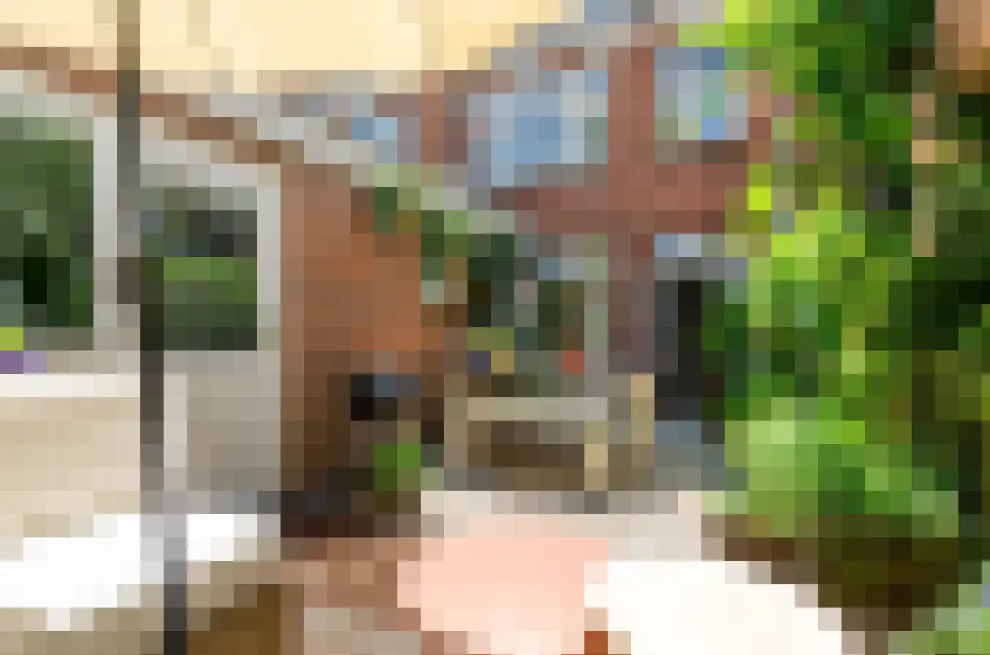 Flamingostraat 6 Utrecht thumbnail 19