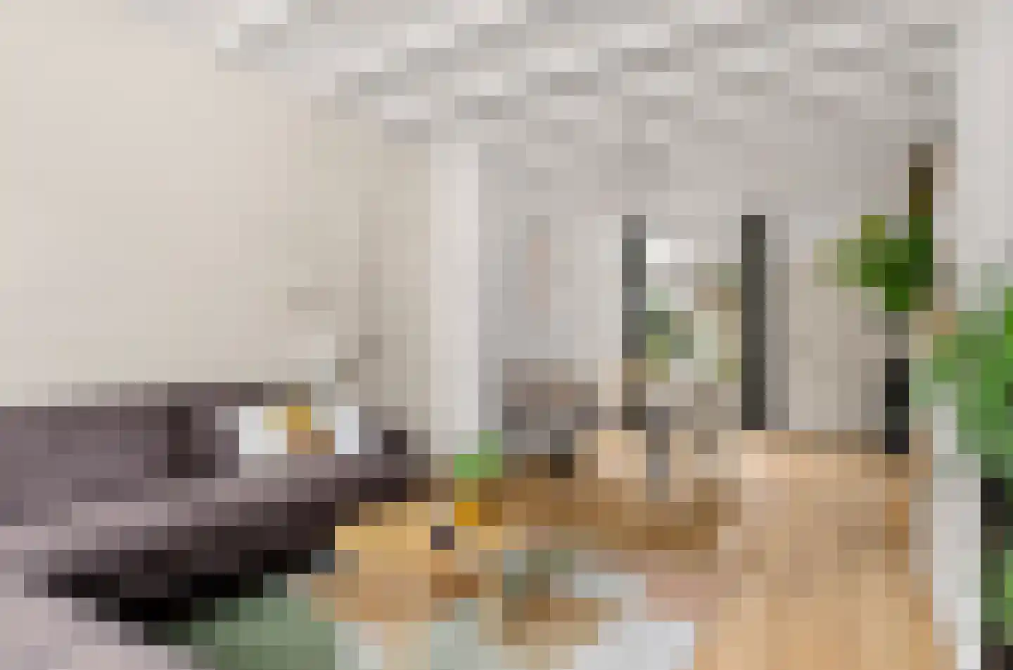 Flamingostraat 6 Utrecht thumbnail 7