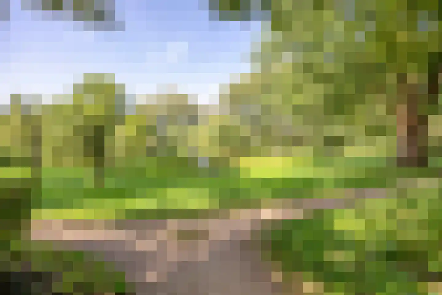 Flamingostraat 6 Wijchen thumbnail 37