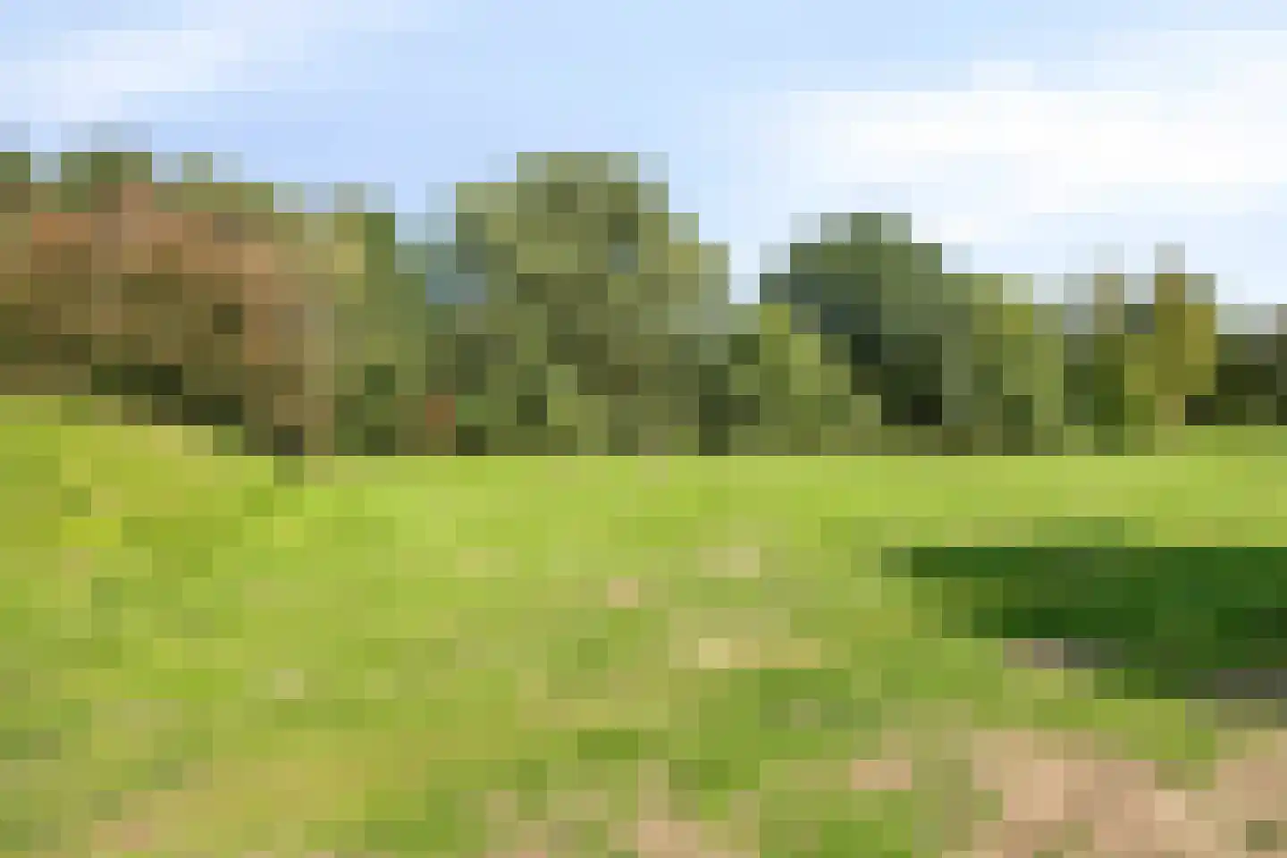 Flamingostraat 6 Wijchen thumbnail 38