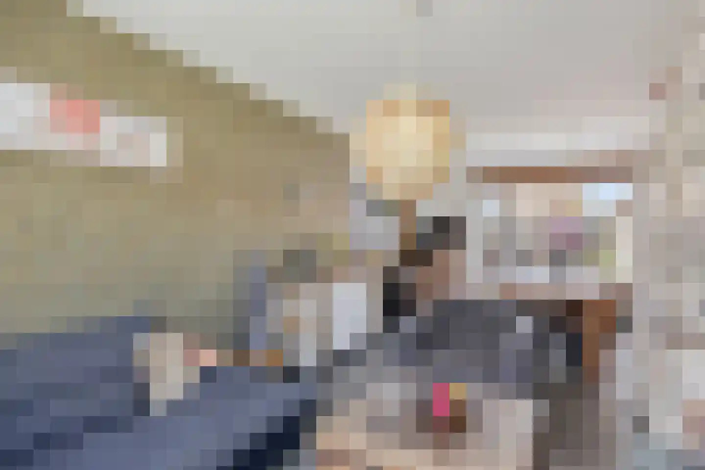 Flamingostraat 6 Wijchen thumbnail 5
