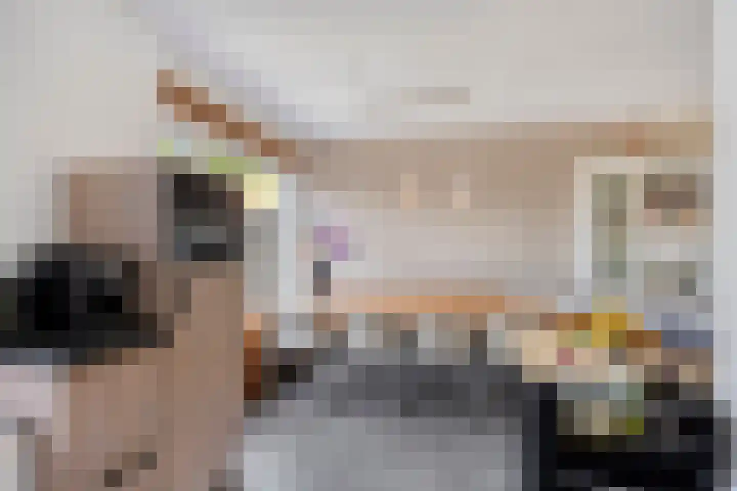 Flamingostraat 6 Wijchen thumbnail 6