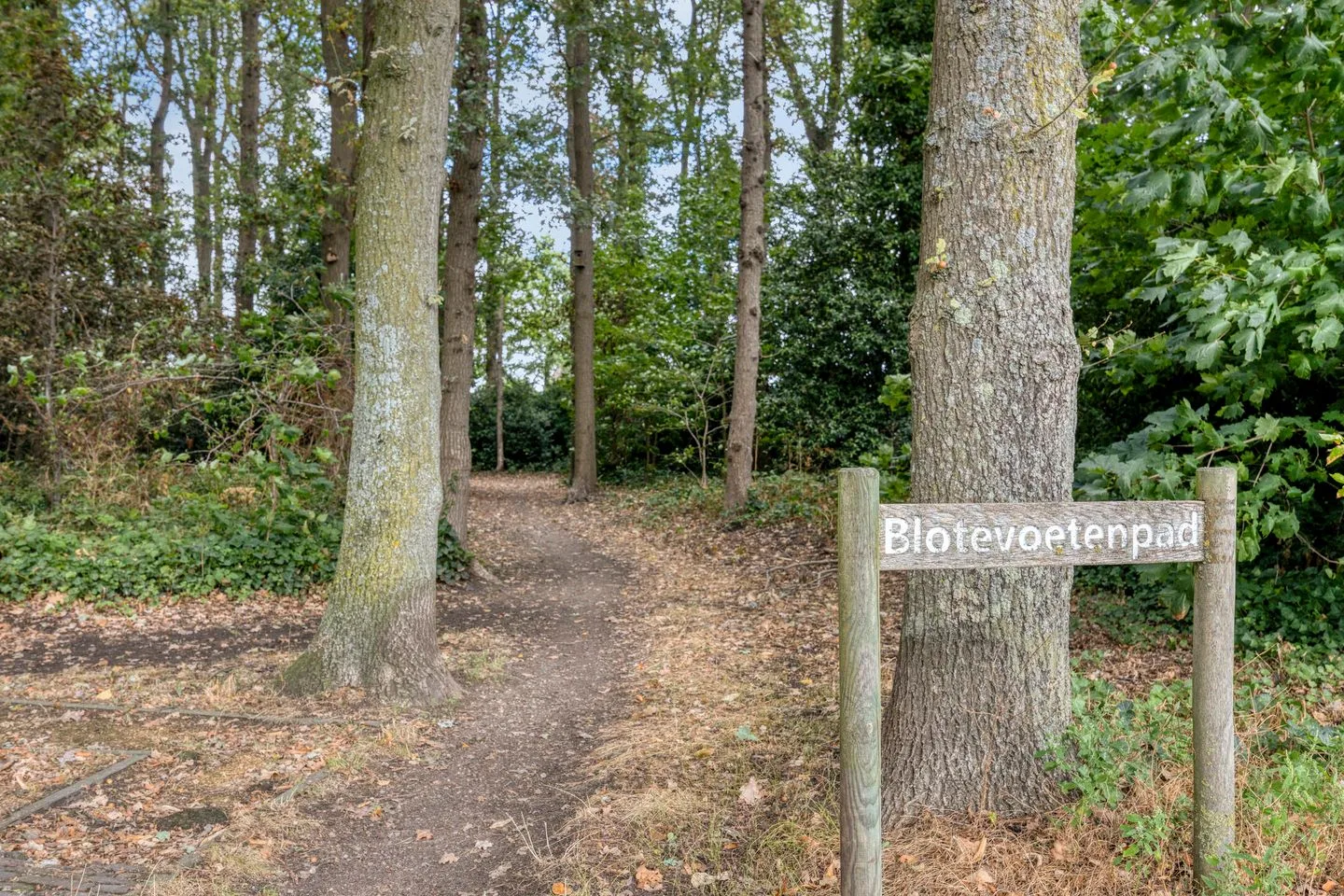 Flamingostraat 7 Nispen thumbnail 55