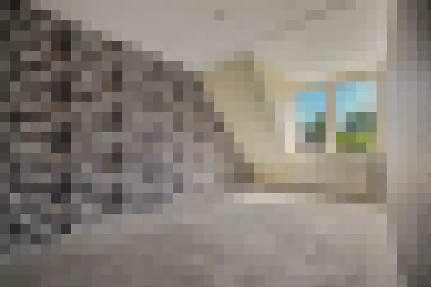 Flamingoweg 11 Vlissingen thumbnail 21