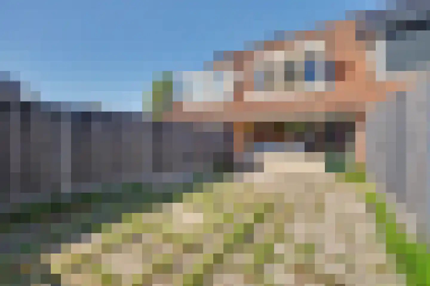 Flamingoweg 11 Vlissingen thumbnail 29