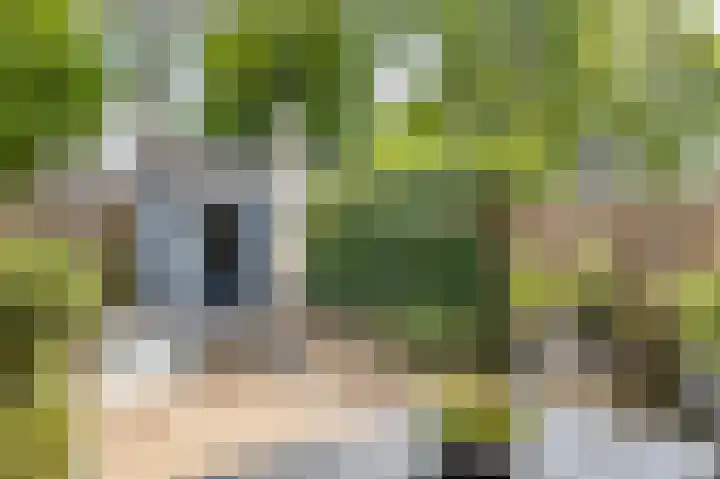Flank 12 Vuren thumbnail 14