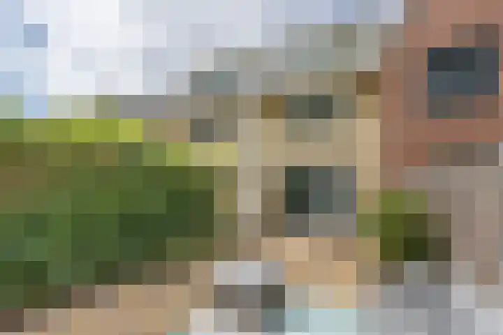 Flank 12 Vuren thumbnail 16
