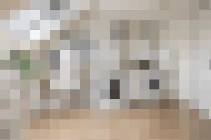 Flank 12 Vuren thumbnail 25
