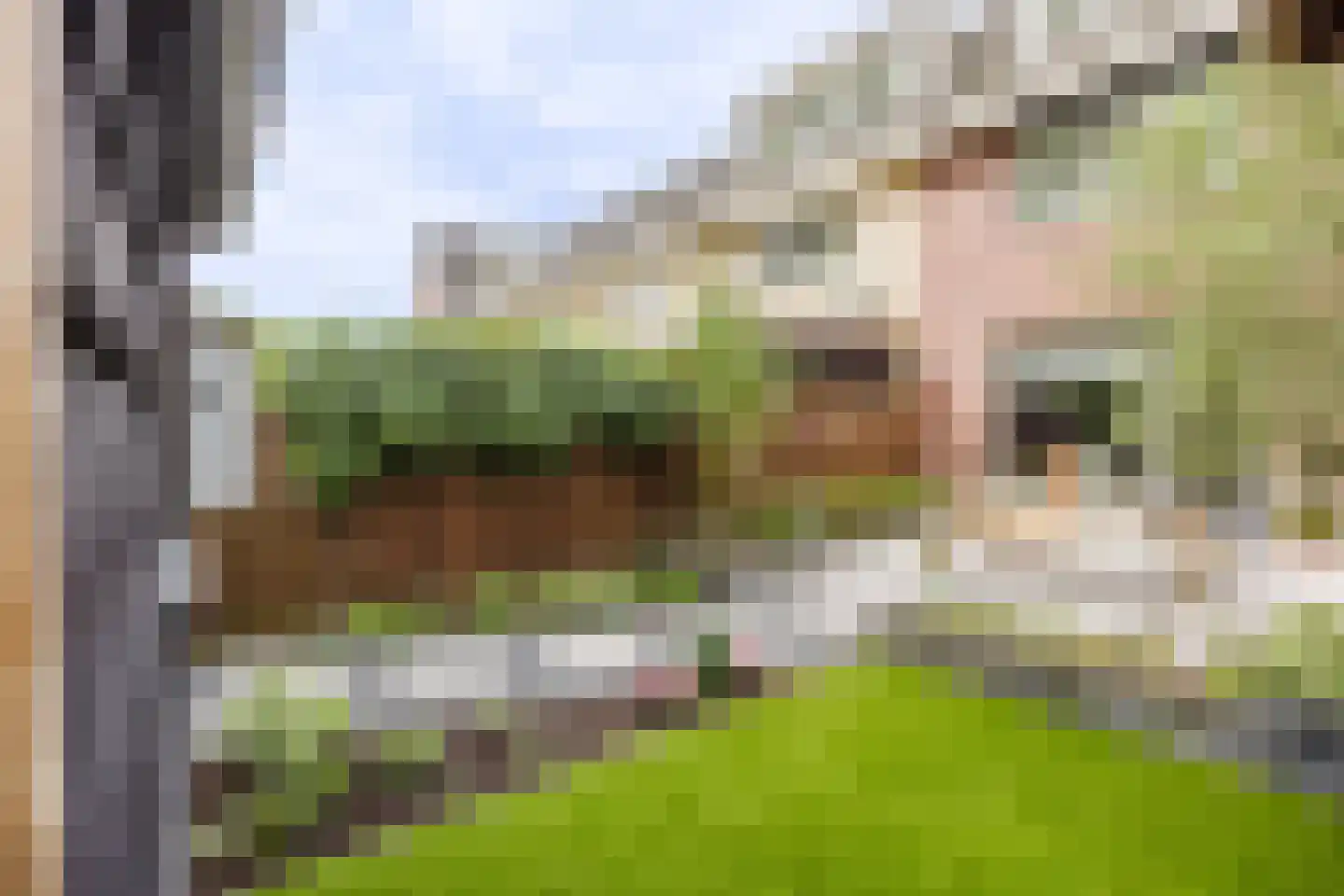 Flank 22 Vuren thumbnail 12