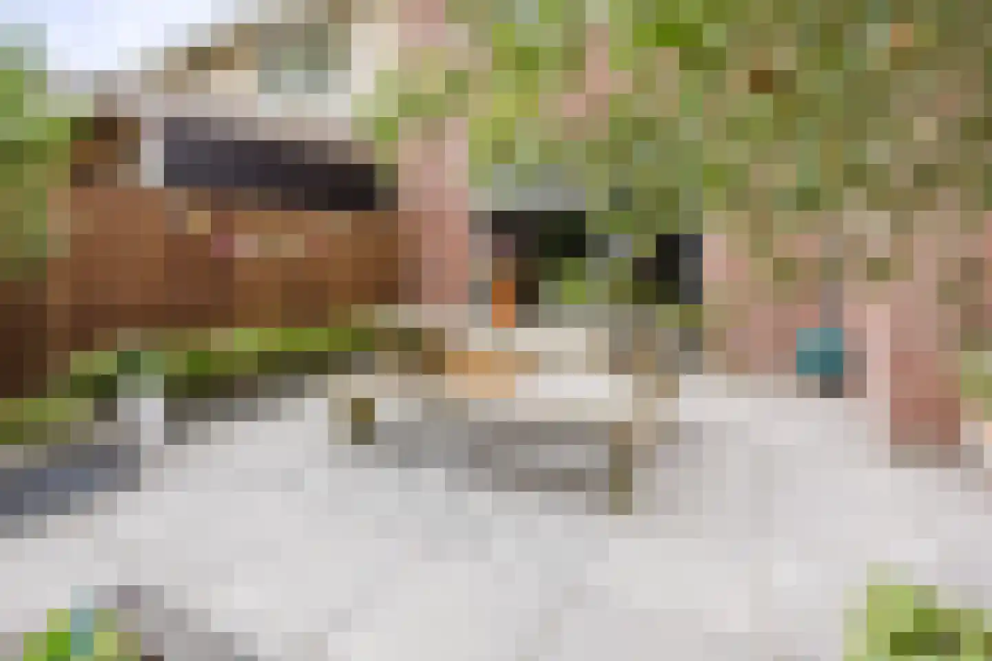 Flank 22 Vuren thumbnail 13