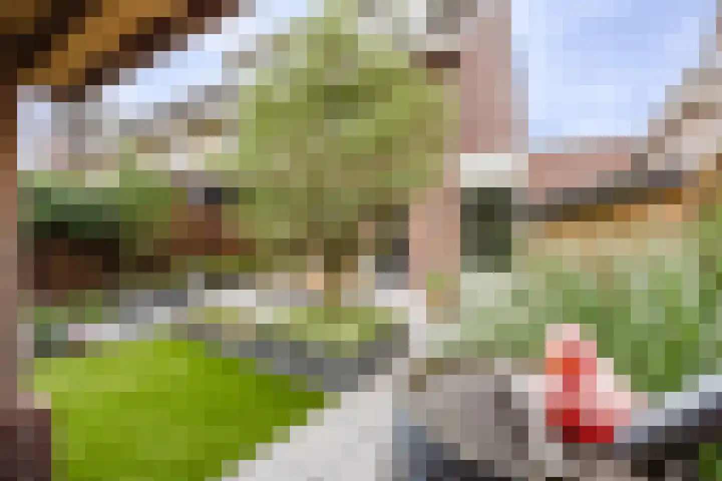 Flank 22 Vuren thumbnail 14