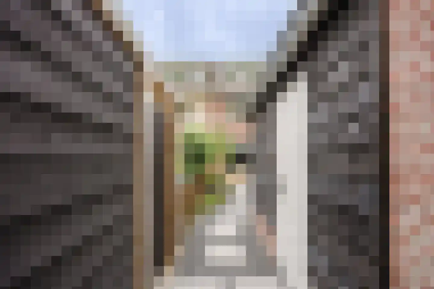 Flank 22 Vuren thumbnail 17