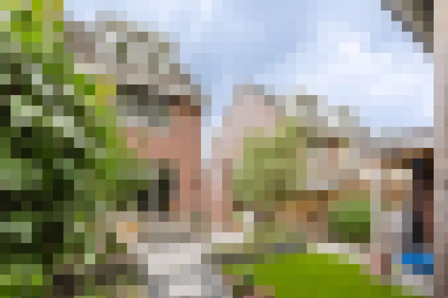 Flank 22 Vuren thumbnail 4