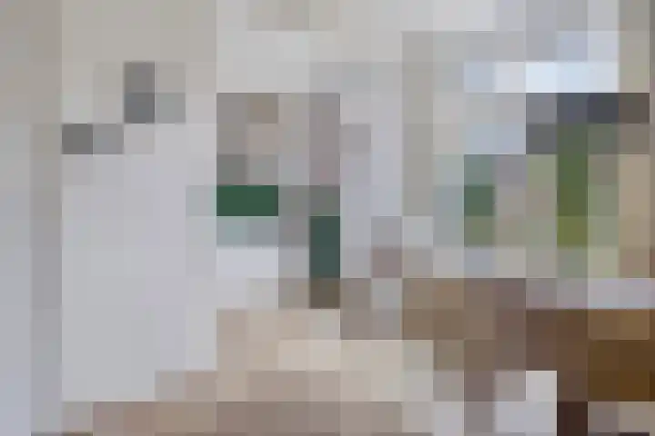 Flankeurspoort 3 Groningen thumbnail 17