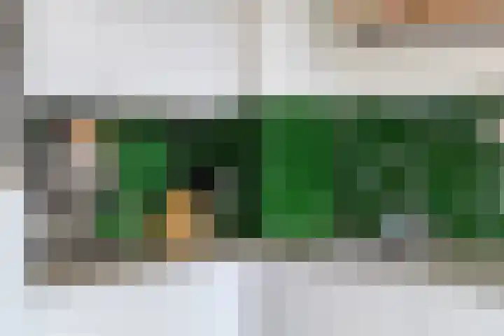Flankeurspoort 3 Groningen thumbnail 21