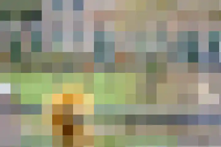 Flankeurspoort 3 Groningen thumbnail 28