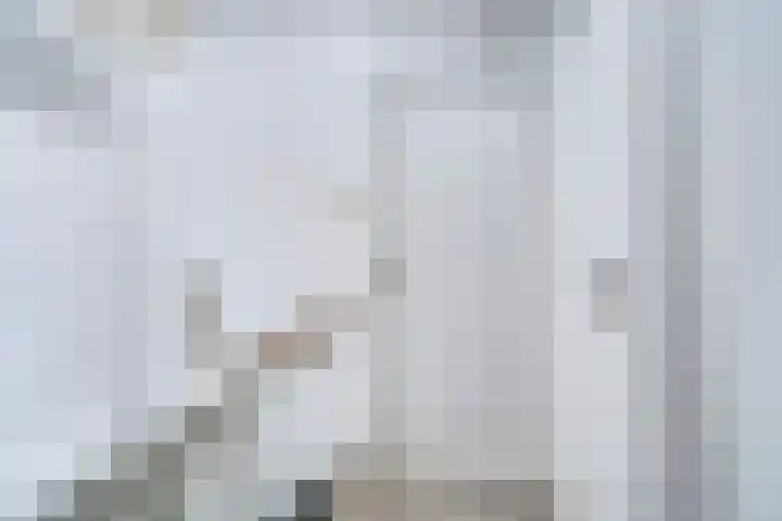 Flankeurspoort 3 Groningen thumbnail 31