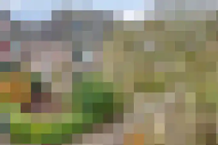 Flankeurspoort 3 Groningen thumbnail 4