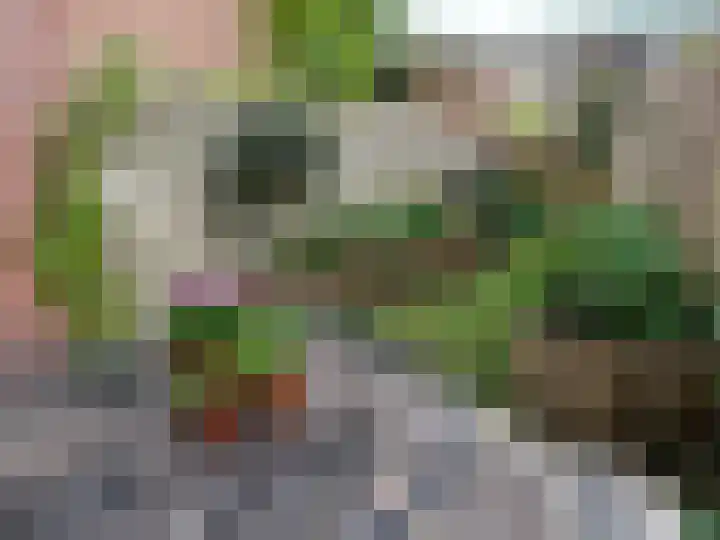 Flankeurspoort 3 Groningen thumbnail 41