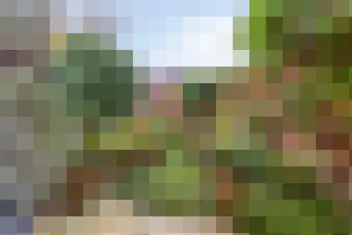 Flankeurspoort 3 Groningen thumbnail 42