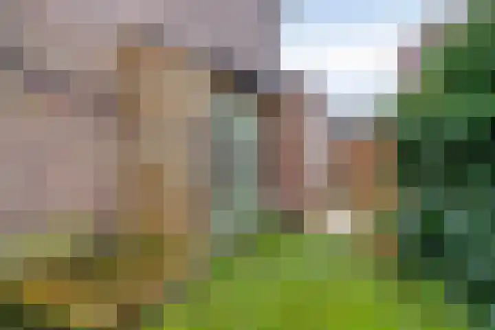 Flankeurspoort 3 Groningen thumbnail 46