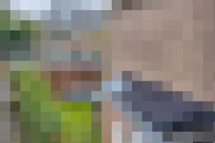 Flankeurspoort 3 Groningen thumbnail 52