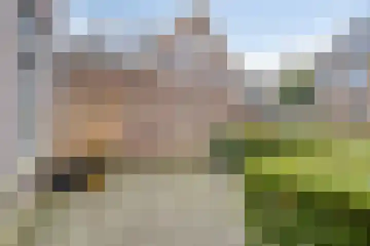 Flankeurspoort 3 Groningen thumbnail 53