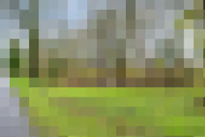 Flankeurspoort 3 Groningen thumbnail 60