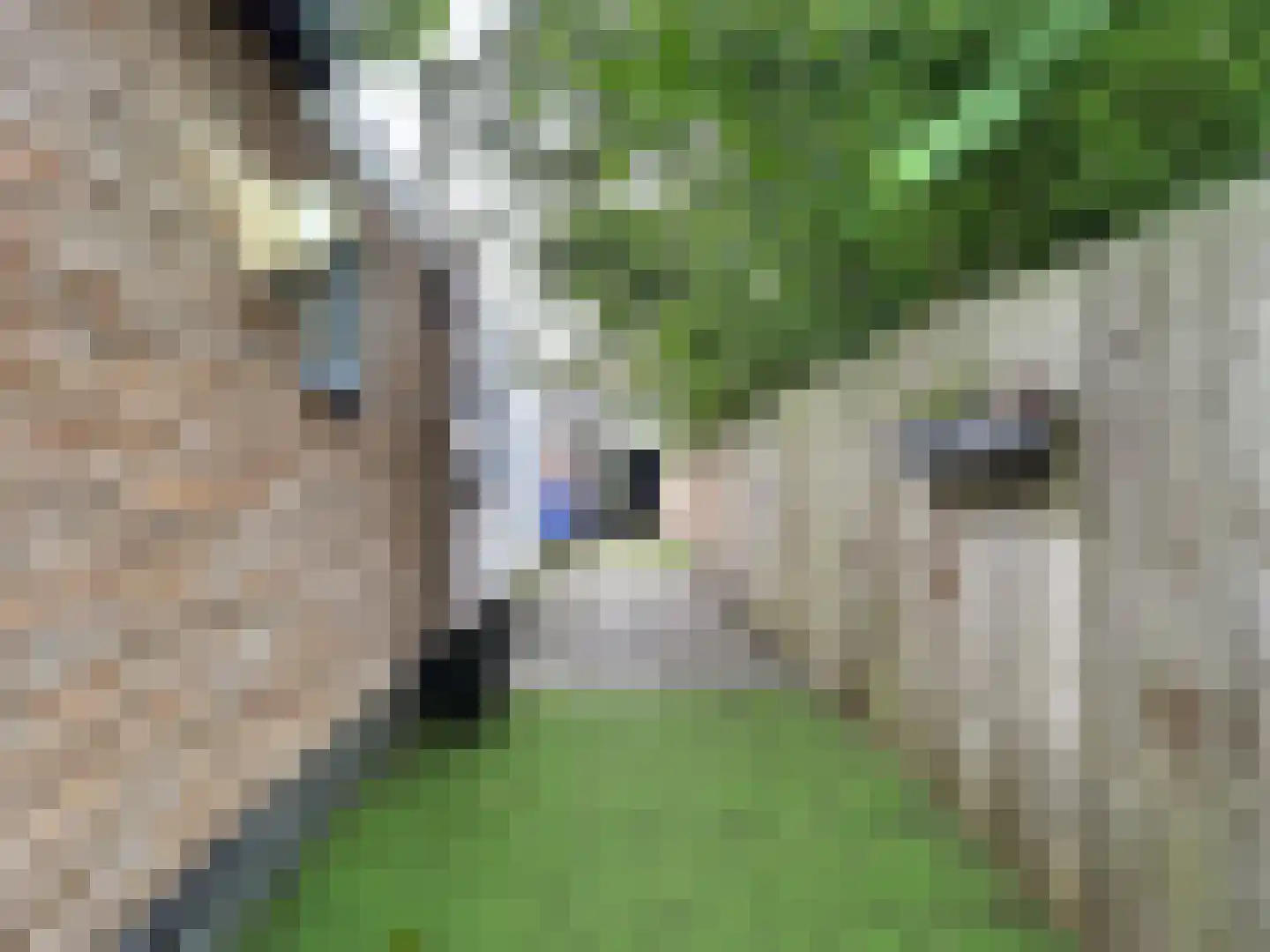 Flankstraat 9 Sas van Gent thumbnail 15