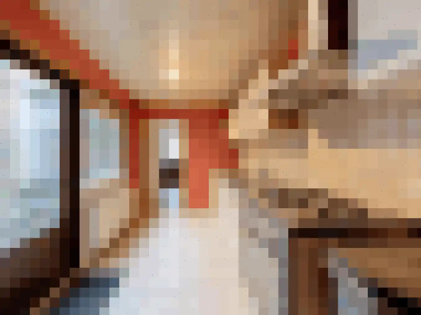 Flankstraat 9 Sas van Gent thumbnail 5
