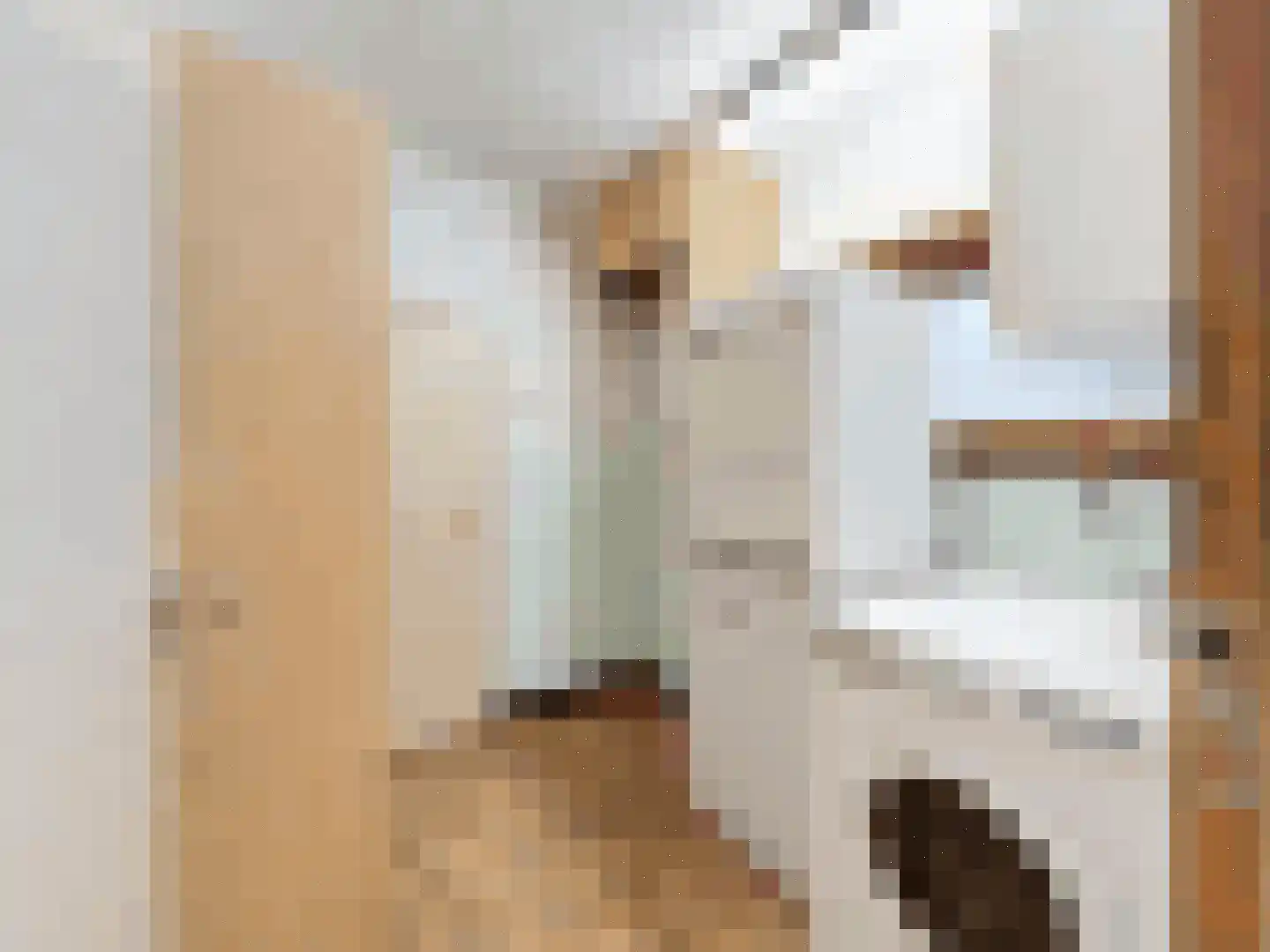 Flankstraat 9 Sas van Gent thumbnail 6