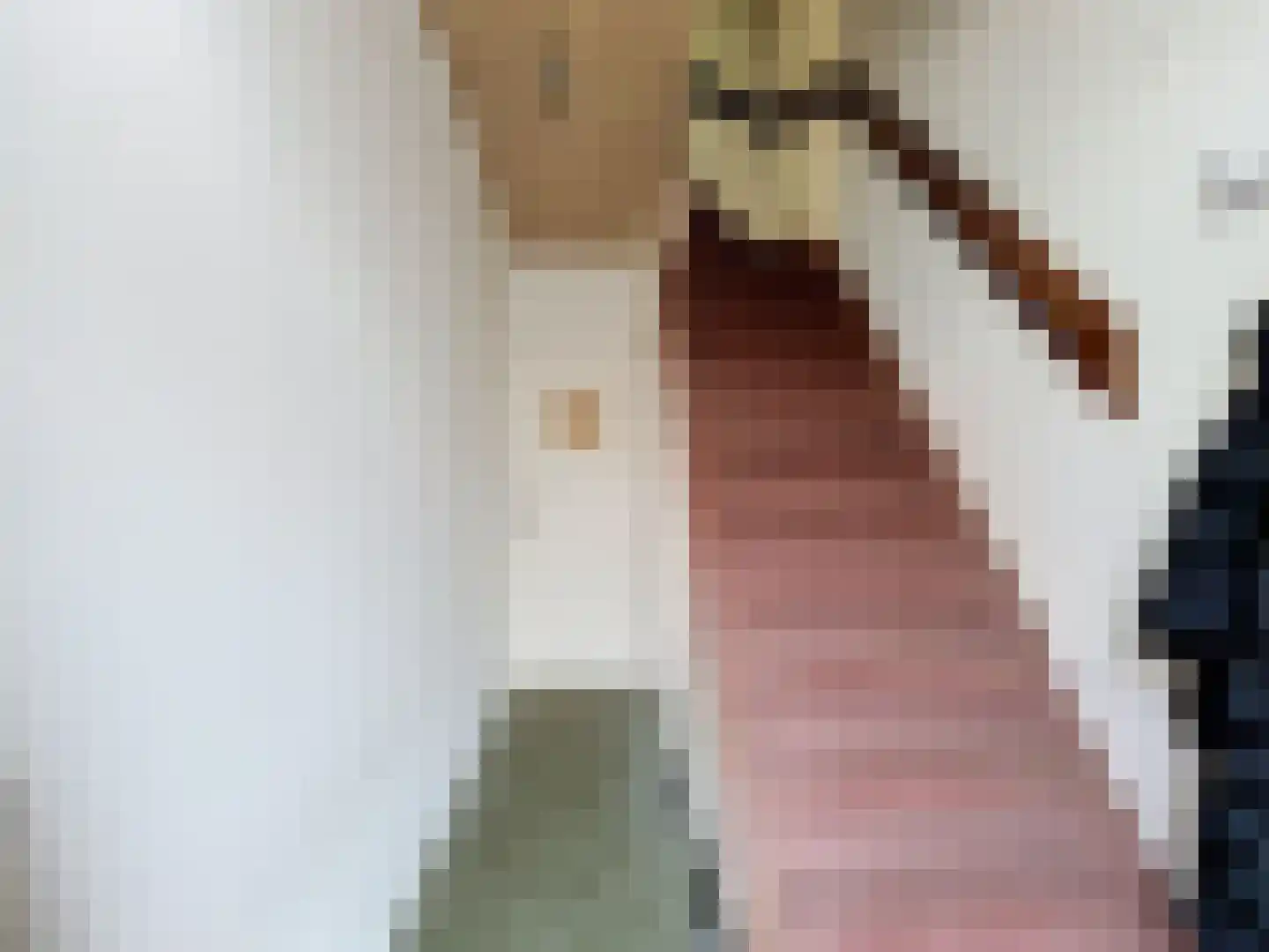 Flankstraat 9 Sas van Gent thumbnail 8